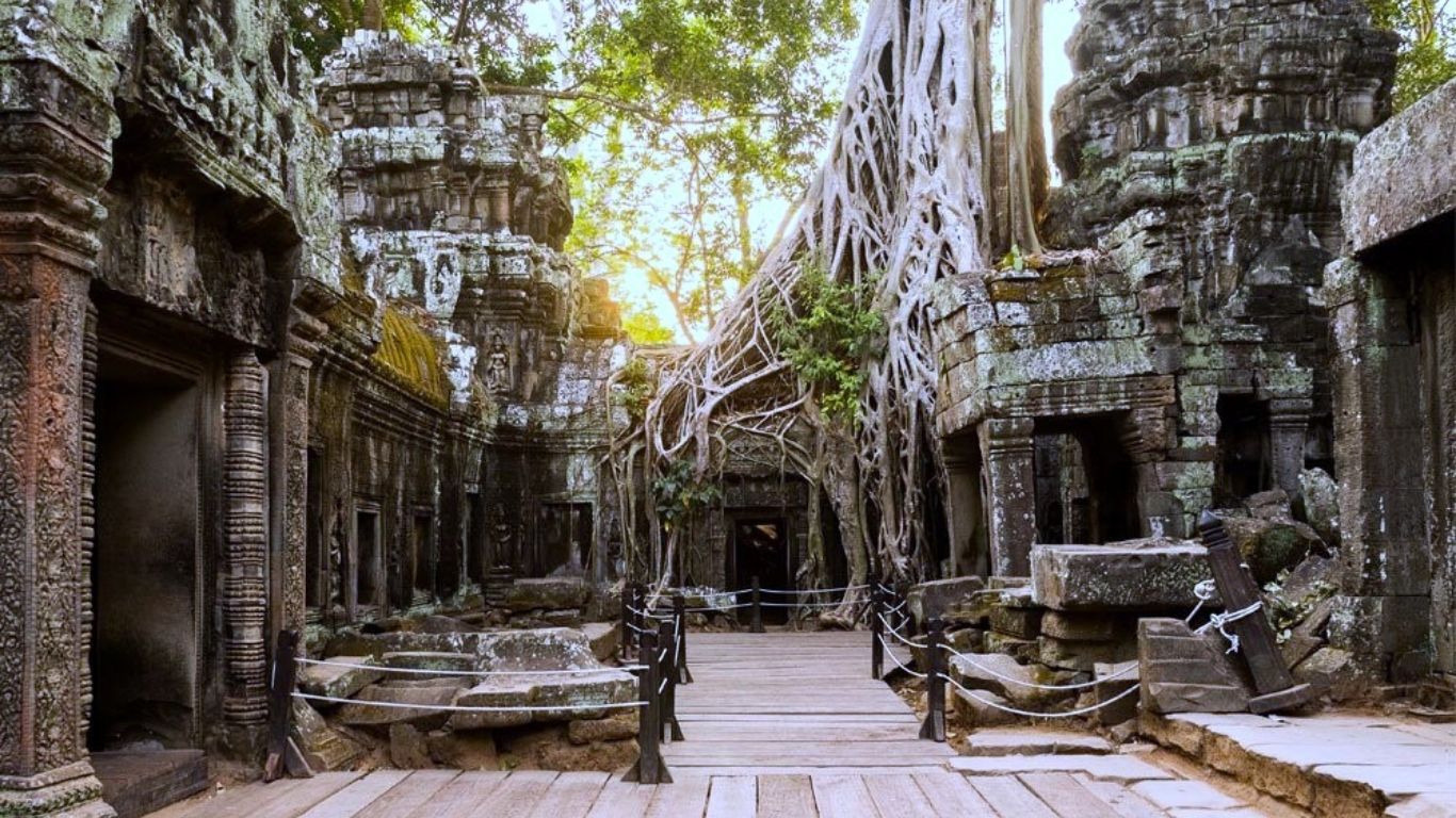 Ta Prohm view 2